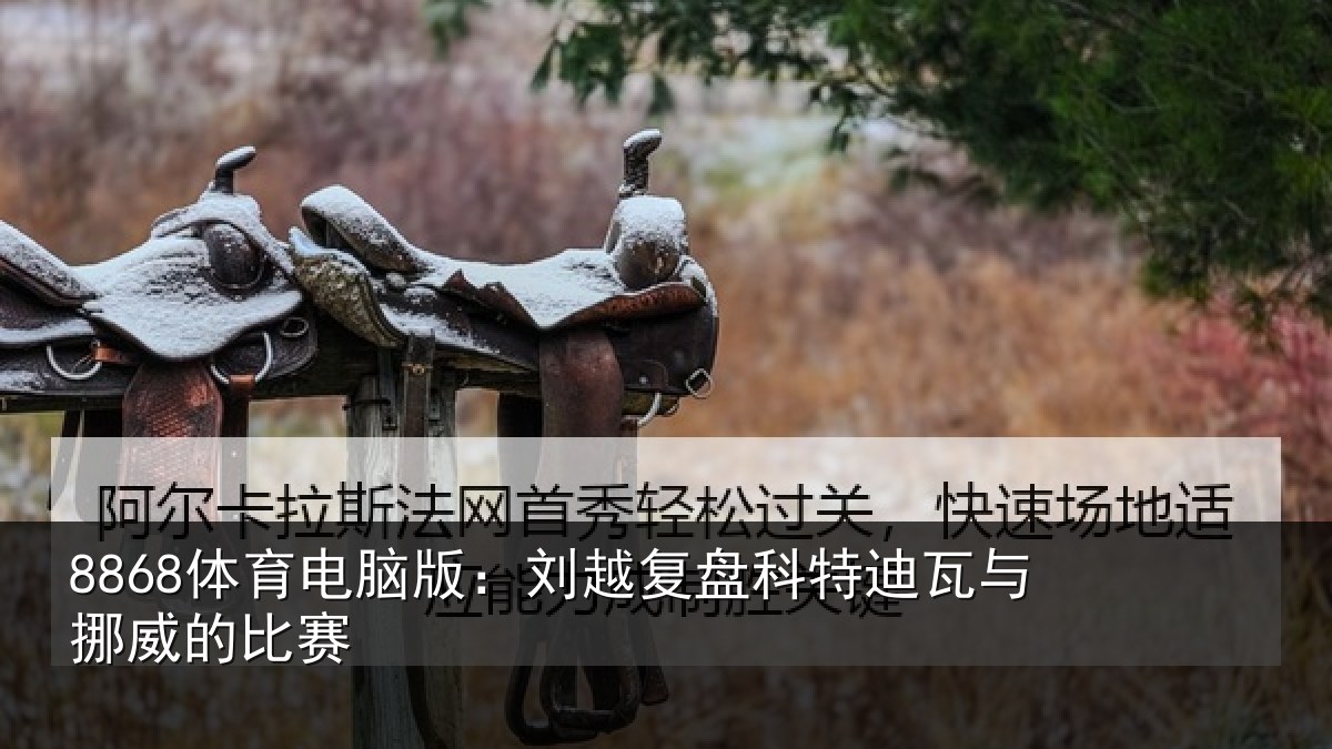 8868体育电脑版：刘越复盘科特迪瓦与挪威的比赛
